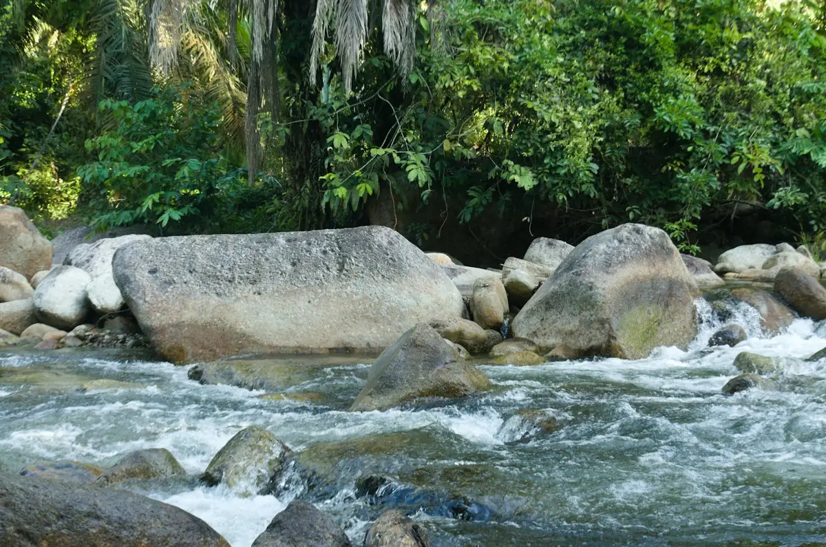 Aliran sungai jernih di antara bebatuan besar dan pepohonan